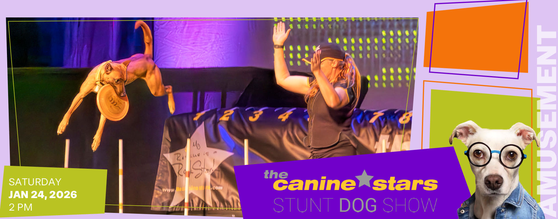 Canine Stars Stunt Dogs